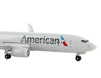 DARON / ダロン｜SWOOP / スウープ｜B737-800｜1/100 Amazon.com: Skymarks Daron 737-800 Southwest Airplane Model